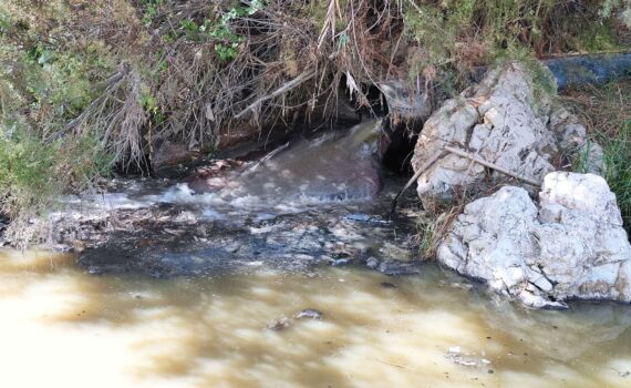 Verdes EQUO da la voz de alarma por la situación crítica del río Guadalhorce, amenazado por la contaminación y la sobreexplotación Verdes EQUO da la voz de alarma por la situación crítica del río Guadalhorce, amenazado por la contaminación y la sobreexplotación Verdes Equo Andalucía
