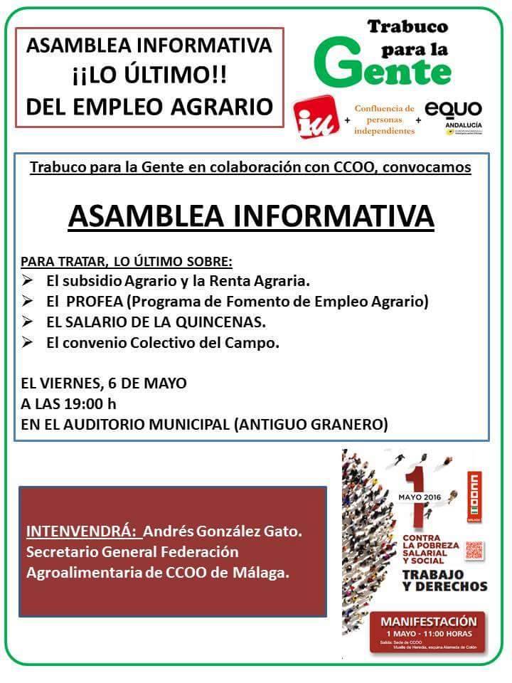 En EQUO Rota lamentamos los millones "tirados al mar" tras el temporal Verdes Equo Andalucía