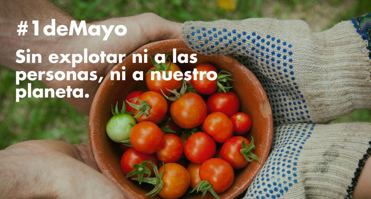 #DíaDelTrabajo: En Andalucía hay muchas oportunidades frente al paro Verdes Equo Andalucía