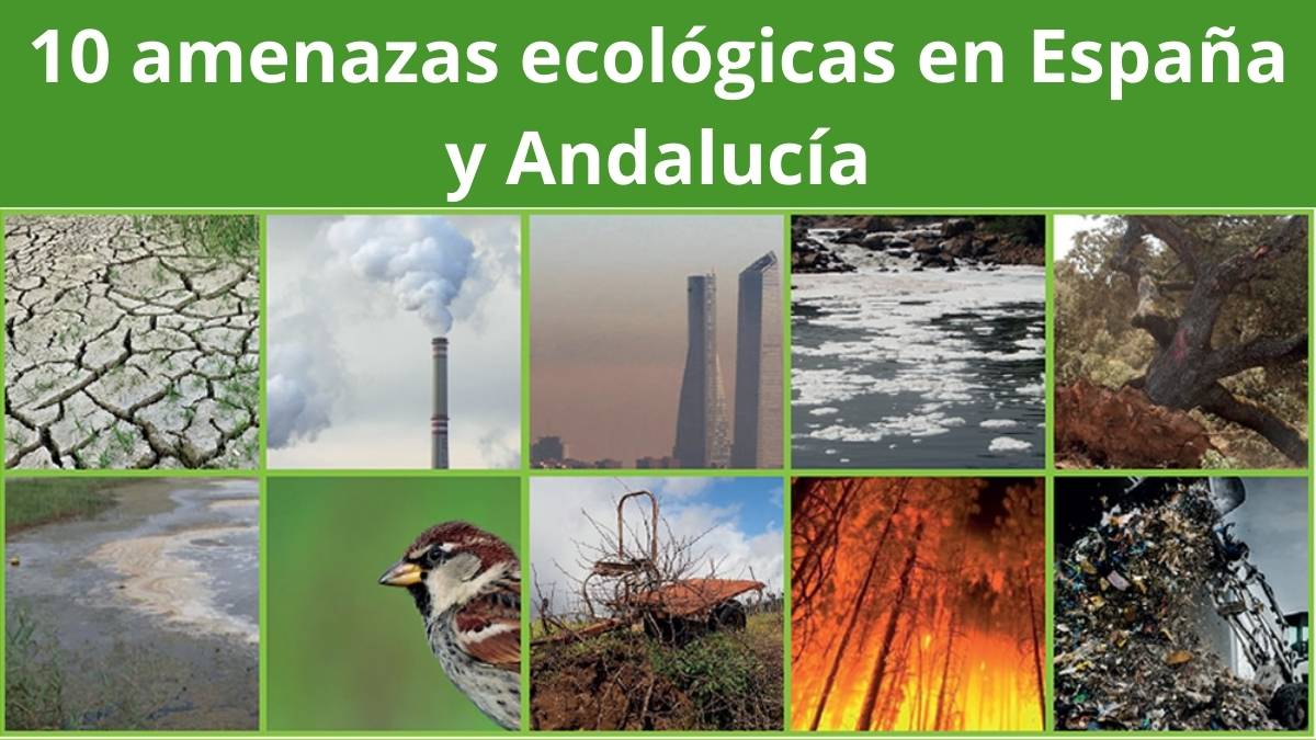 Imagen 10 amenazas ecológicas