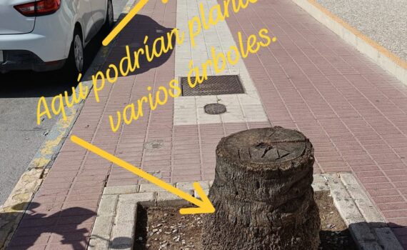 Verdes EQUO finaliza su campaña “Aquí había un árbol” Verdes EQUO finaliza su campaña “Aquí había un árbol” Verdes Equo Andalucía