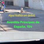 Verdes EQUO finaliza su campaña “Aquí había un árbol” Verdes EQUO finaliza su campaña “Aquí había un árbol” Verdes Equo Andalucía