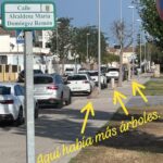 Verdes EQUO finaliza su campaña “Aquí había un árbol” Verdes EQUO finaliza su campaña “Aquí había un árbol” Verdes Equo Andalucía