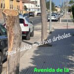 Verdes EQUO finaliza su campaña “Aquí había un árbol” Verdes EQUO finaliza su campaña “Aquí había un árbol” Verdes Equo Andalucía