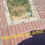 Verdes EQUO finaliza su campaña “Aquí había un árbol” Verdes EQUO finaliza su campaña “Aquí había un árbol” Verdes Equo Andalucía