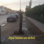 Verdes EQUO finaliza su campaña “Aquí había un árbol” Verdes EQUO finaliza su campaña “Aquí había un árbol” Verdes Equo Andalucía