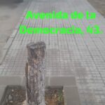 Verdes EQUO finaliza su campaña “Aquí había un árbol” Verdes EQUO finaliza su campaña “Aquí había un árbol” Verdes Equo Andalucía