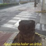 Verdes EQUO finaliza su campaña “Aquí había un árbol” Verdes EQUO finaliza su campaña “Aquí había un árbol” Verdes Equo Andalucía
