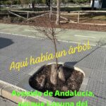 Verdes EQUO finaliza su campaña “Aquí había un árbol” Verdes EQUO finaliza su campaña “Aquí había un árbol” Verdes Equo Andalucía