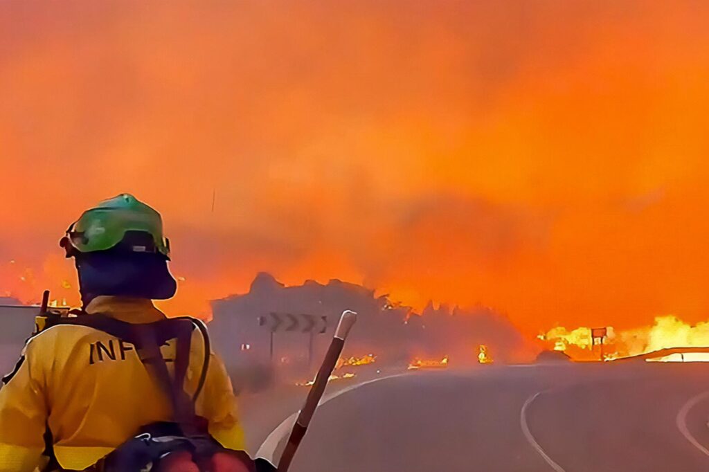 Exigimos un giro radical en la política forestal andaluza Verdes Equo Andalucía
