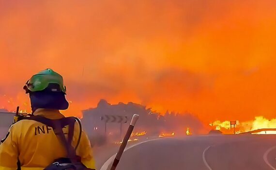 Exigimos un giro radical en la política forestal andaluza Verdes Equo Andalucía