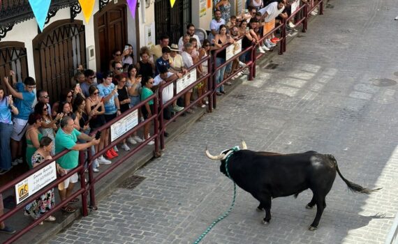 Exigimos la suspensión inmediata del toro de cuerda de Carcabuey por ser maltrato animal Verdes Equo Andalucía