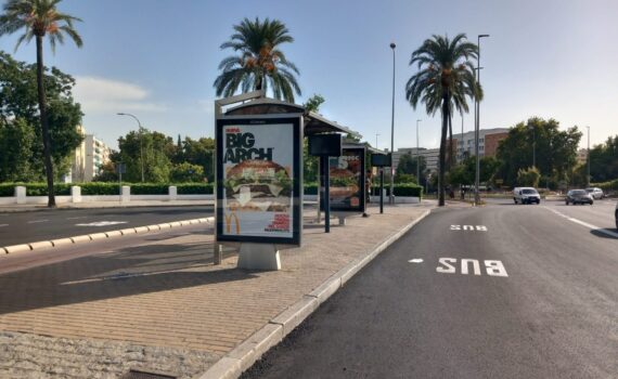 Proponemos un Plan de Sombra en las paradas de autobús frente a las altas temperaturas en Córdoba​ Verdes Equo Andalucía