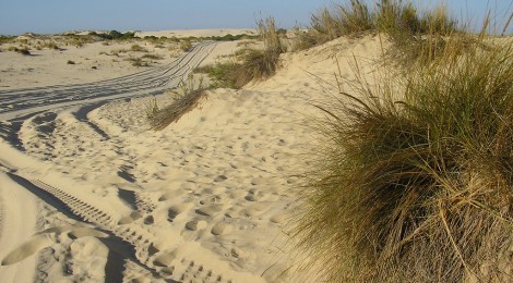 27 de abril protesta en Doñana Verdes Equo Andalucía
