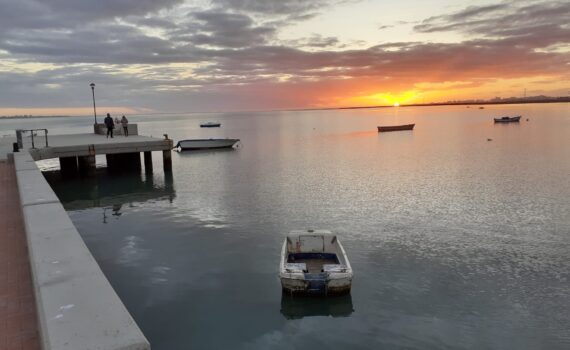 Teófila desprecia a Puerto Real y Elena Amaya le baila el agua Verdes Equo Andalucía