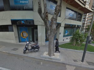 EQUO Jaén pide explicaciones al Ayuntamiento ante la tala indiscriminada de árboles que se está llevando a cabo Verdes Equo Andalucía