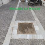 Verdes EQUO inicia la tercera campaña “Aquí había un árbol” Verdes Equo Andalucía