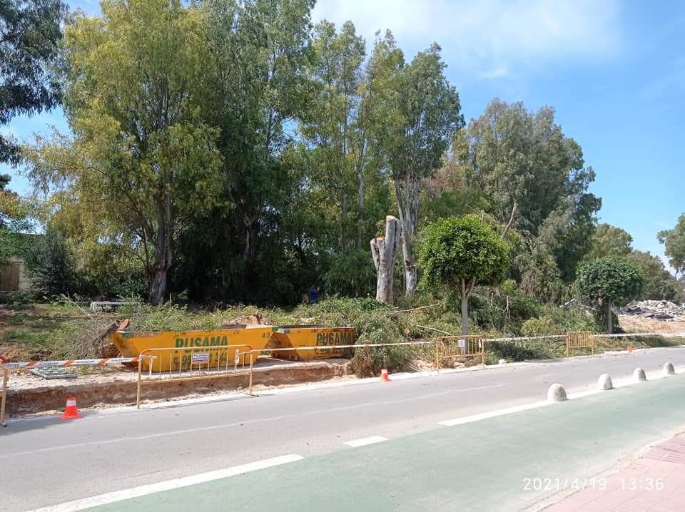 Imagen eliminación de arboleda