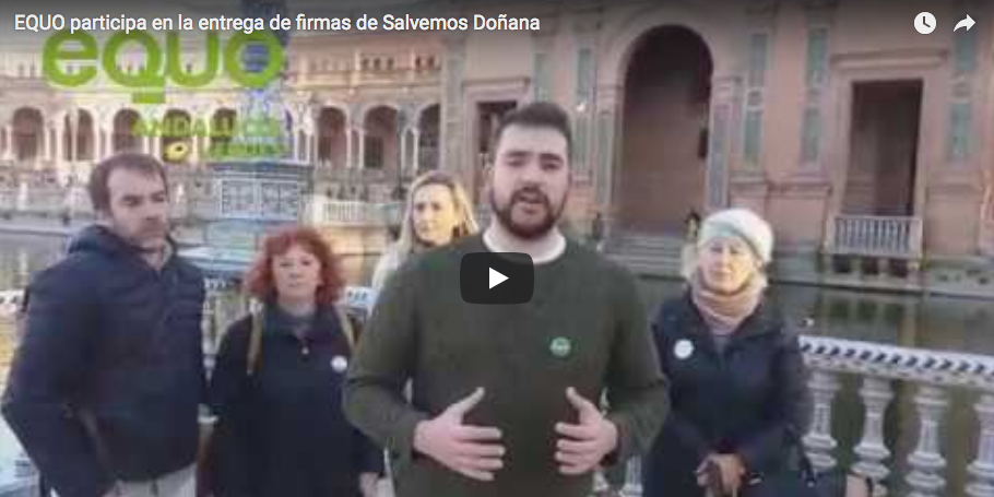 Entregamos 200.000 firmas con Salvemos Doñana exigiendo la paralización del proyecto gasístico en Doñana Verdes Equo Andalucía