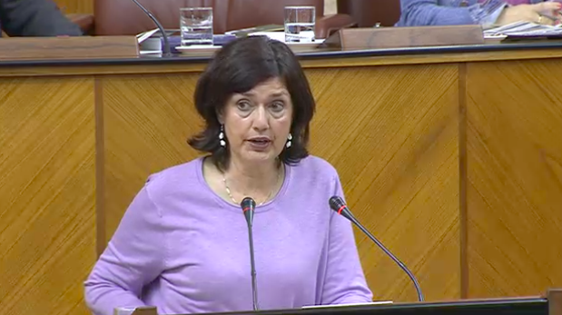 Carmen Molina llama a centrar las inversiones en mantenimiento y no en más kilómetros de autovía Verdes Equo Andalucía