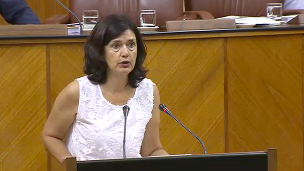 Foto de Carmen Molina como diputada en el Parlamento de Andalucía
