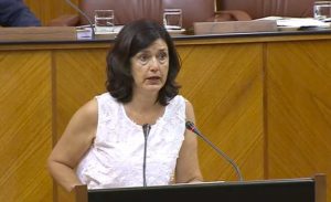 Carmen Molina pide una revisión del Plan PISTA para “redimensionar” las infraestructuras Carmen Molina pide una revisión del Plan PISTA para “redimensionar” las infraestructuras Verdes Equo Andalucía