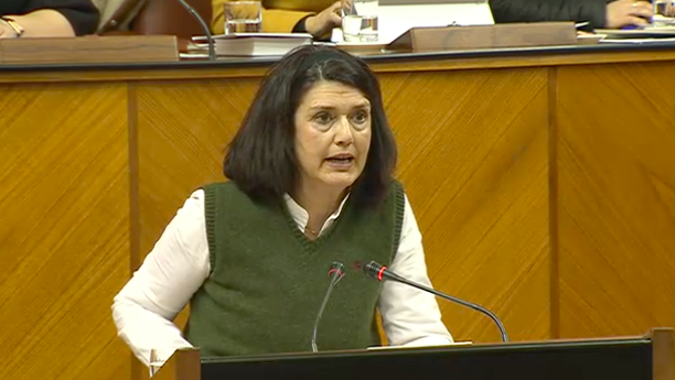 Carmen Molina señala que la liberalización de las autopistas de peaje “a quien sigue beneficiando es a las grandes empresas” Verdes Equo Andalucía