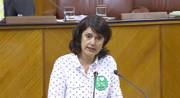 Carmen Molina vuelve a apostar por impulsar el ferrocarril en su análisis sobre las inversiones del Estado en infraestructuras Verdes Equo Andalucía