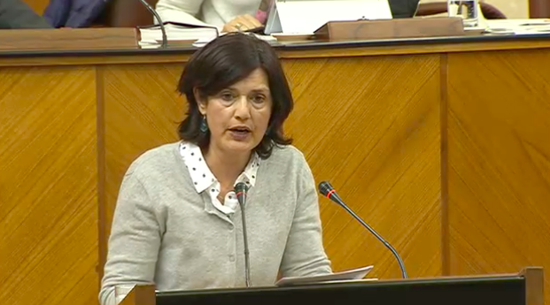 Carmen Molina lamenta que el Gobierno andaluz siga sin ofrecer una solución habitacional a las miles de personas que la demandan Verdes Equo Andalucía