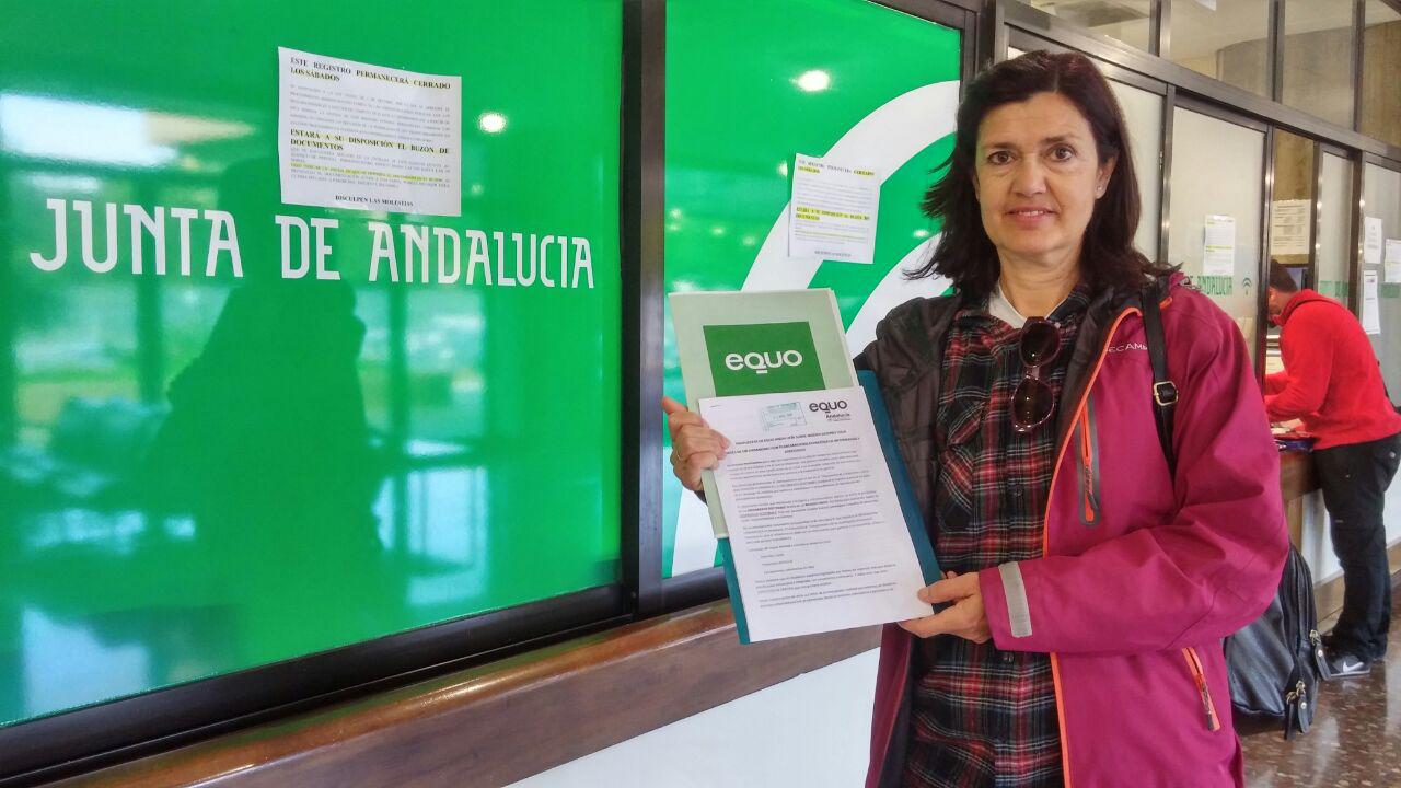 VERDES EQUO DESEA A TODAS LAS PERSONAS UN FINAL DE AÑO LO MÁS FELIZ POSIBLE  Verdes Equo Andalucía