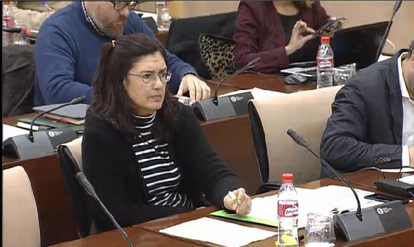 Documentos Constituyentes Verdes Málaga Ciudad Verdes Equo Andalucía