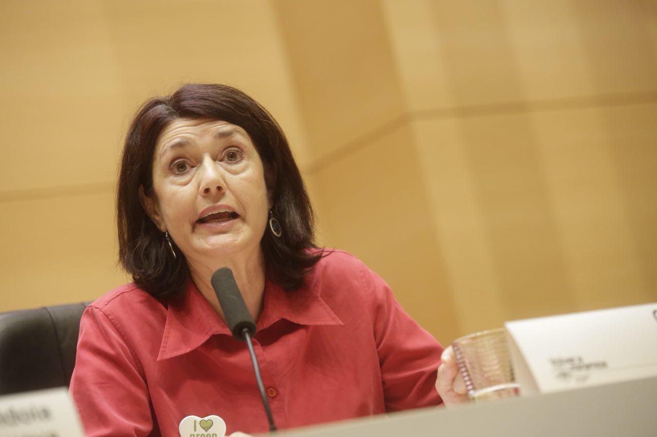 PRIMARIAS ABIERTAS PARA ELEGIR LA CANDIDATURA A LA ALCALDÍA DE SEVILLA Y EL RESTO DE LA LISTA Verdes Equo Andalucía