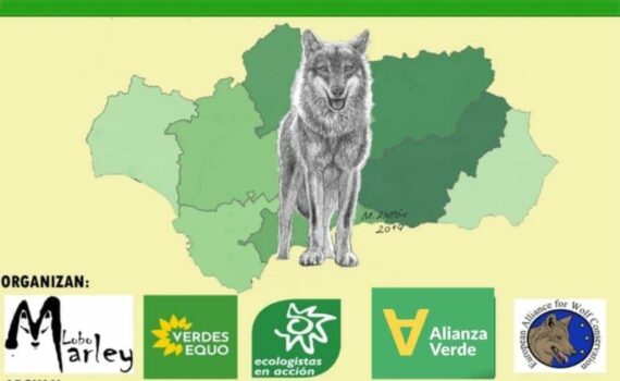 16 de octubre: por el regreso del lobo a Andalucía 16 de octubre: por el regreso del lobo a Andalucía Verdes Equo Andalucía