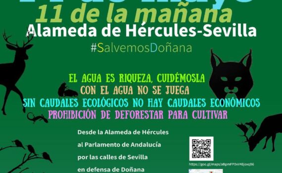 Verdes EQUO apoya la manifestación por Doñana del día 14 Verdes Equo Andalucía
