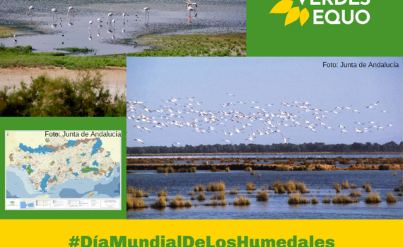 Exigimos medidas concretas y contundentes para cuidar de los humedales andaluces Verdes Equo Andalucía