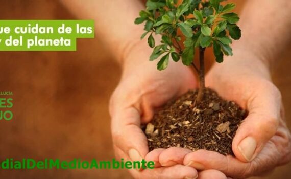Menos promesas y engaños y más medidas y compromisos Menos promesas y engaños y más medidas y compromisos Verdes Equo Andalucía