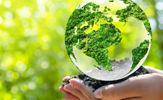 Coherencia para acabar con el Greenwashing y el postureo verde en el Día Mundial del Medio Ambiente Verdes Equo Andalucía