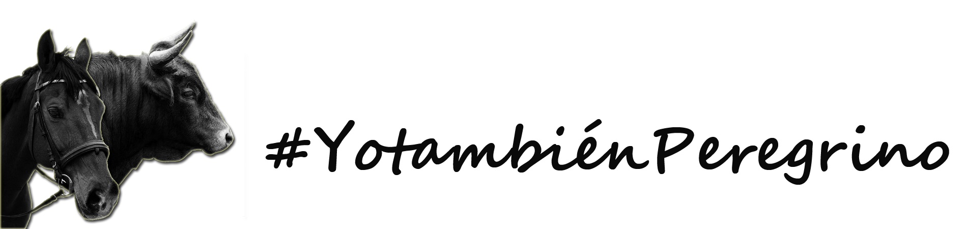 Verdes EQUO advierte del peligro en las obras que invaden el carril bici en avenida Diputación Verdes Equo Andalucía