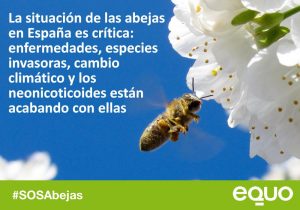 EQUO reclama a Tejerina que apoye las restricciones a los pesticidas que dañan a las abejas Verdes Equo Andalucía