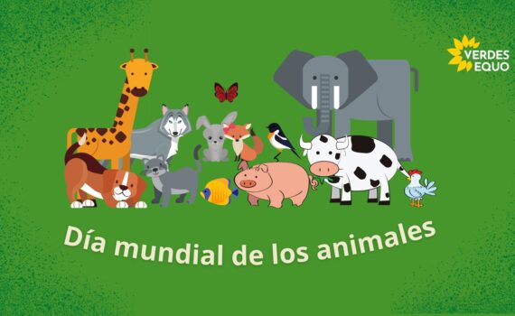 Solicitud de modificación de la ordenanza de tenencia de animales en Rota Verdes Equo Andalucía