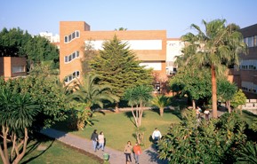 Invitamos a más de una veintena de colectivos a participar en nuestra III Asamblea Verdes Equo Andalucía