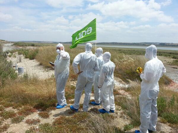 Pleno ordinario 01-02-13 Verdes Equo Andalucía