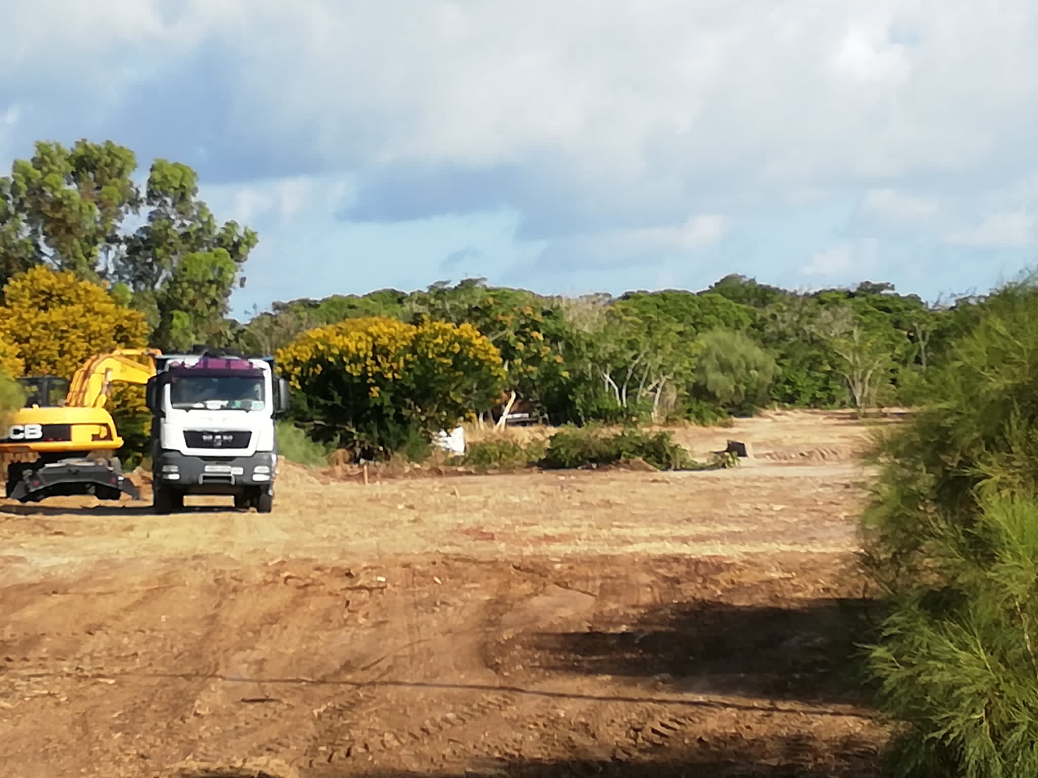 Conciertos sí, pero pensando en Rota Conciertos sí, pero pensando en Rota Verdes Equo Andalucía