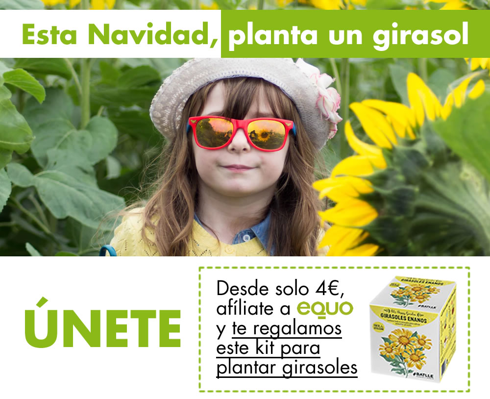 Planta un girasol Verdes Equo Andalucía