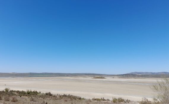 Proponemos un Plan de Excelencia Agrícola y advertimos de “prevaricador” a Moreno Bonilla por su plan de regadíos en Doñana Verdes Equo Andalucía