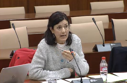 EQUO se suma a la petición de IU para la eliminación de conducciones de agua con amianto en Andalucía Verdes Equo Andalucía