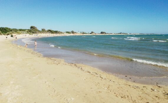 A dos meses del inicio de temporada de playas, Verdes EQUO propone cambios en el uso y disfrute de la playa canina A dos meses del inicio de temporada de playas, Verdes EQUO propone cambios en el uso y disfrute de la playa canina Verdes Equo Andalucía