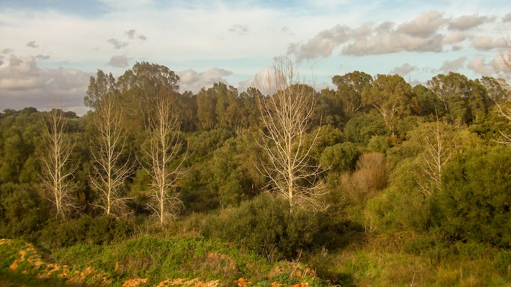 Desempleo: Urge cambiar el modelo económico frente al paro Verdes Equo Andalucía