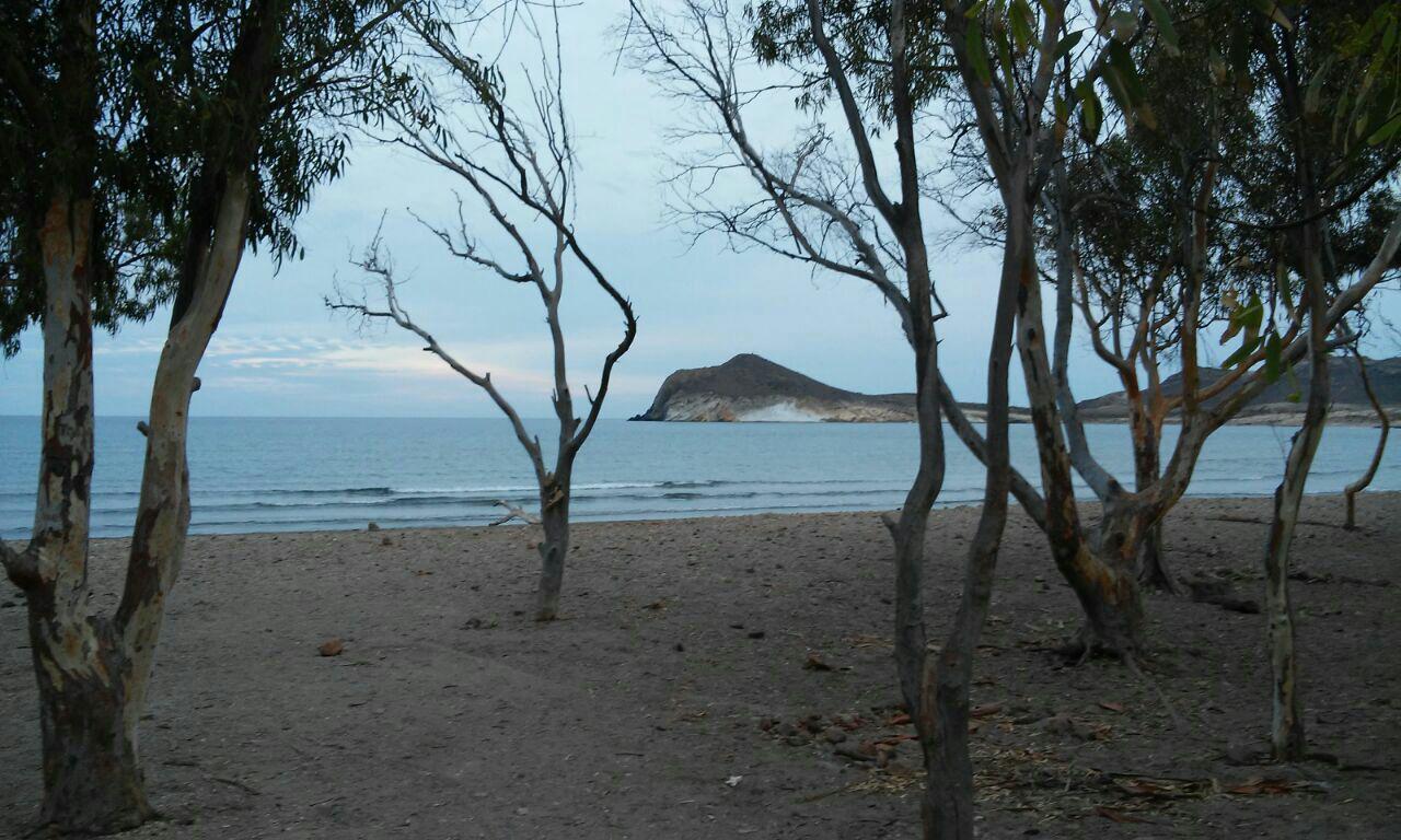 Apostamos por reforzar un turismo sostenible y accesible a todas las personas en Cabo de Gata Verdes Equo Andalucía
