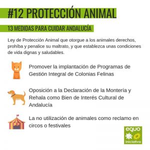 EQUO Verdes-Iniciativa Andalucía impulsará una Ley de protección animal que garantice sus derechos y acabe con el maltrato EQUO Verdes-Iniciativa Andalucía impulsará una Ley de protección animal que garantice sus derechos y acabe con el maltrato Verdes Equo Andalucía